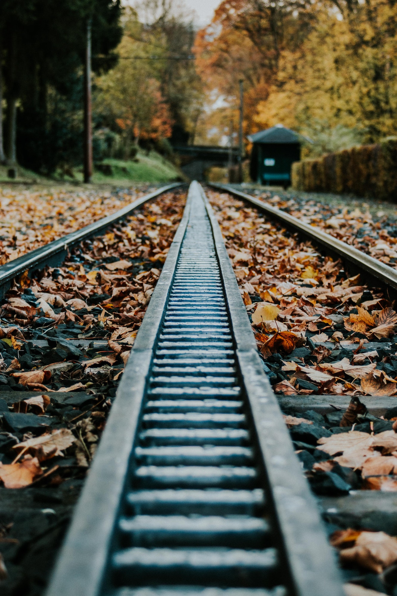 Train station in autumn